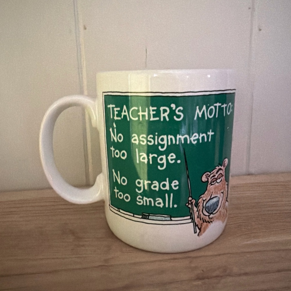 Green and White Teacher's Motto Mug